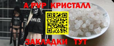 гидра Долгопрудный