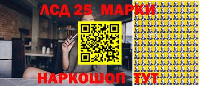 гидра Долгопрудный