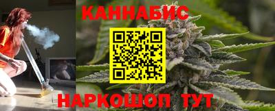 гидра Долгопрудный