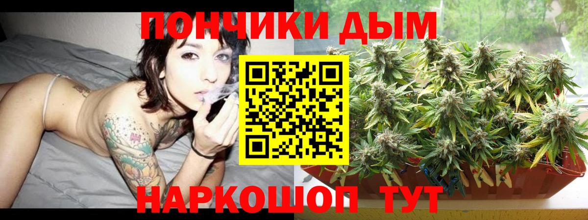 Бошки Шишки гибрид Гудермес
