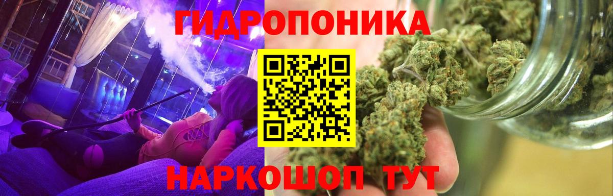 Гудермес  Бошки марихуана сатива  МАРИХУАНА конопля  Вход с VPN  Бошки Шишки AK-47  Марихуана планчик 